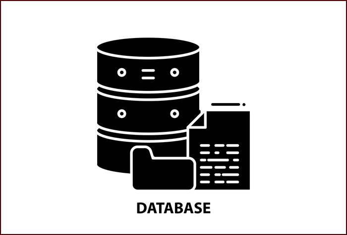 E-Databases