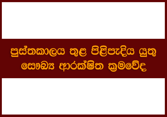 Library Support During COVID-19:Safety Precautions